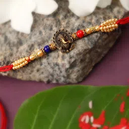 aurum Designer Antik 101 Assorted Chawal Roli Pack Set-picture-28