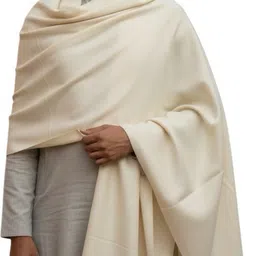 Fancy duppatta house Pashmina Woven Women, Men Shawl-picture-33