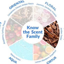 nike Sensual Touch EDT Eau de Toilette - 150 ml image 3