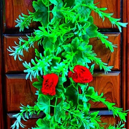 kingstyle impex Artificial Flowers Home Decoration Vine & Creepers Plant Wall Hanging Chain E370 Multicolor Rose Artificial Flower image 1