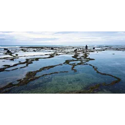 Carl Zeiss T* 43mm Camera Lens UV Filter (Anti Reflective Coating) image 3