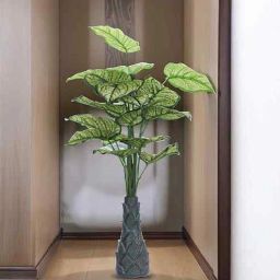 foliyaj Green 3 Feet Tall Caladium Artificial Plant-picture-32