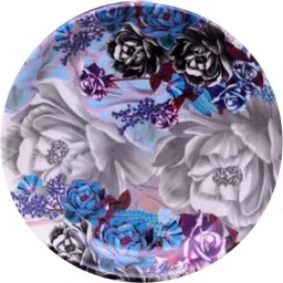 feast Melamine Classic Model(601) 10 Inch Full Dinner Plate Set 6 pcs Dinner Plate image 2