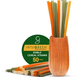 intugreen Spoon Drinking Straw-picture-11