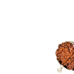 bhakti shringar 9 Mukhi Rudraksha Original Certified Lab Test & X-ray Report Sterling Silver Wood Pendant image 3