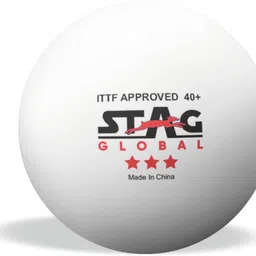 Special Edition : Rome 2024 3 Star 40+ MM Table Tennis Ball Table Tennis Ball-image-43