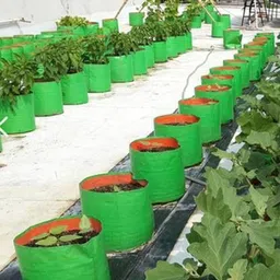 growtop Terrace Gardening Round Shape Grow Bags 12Inch*6Inch (Pack of 10) Grow Bag image 3