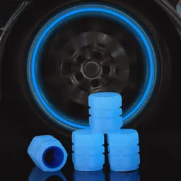 Plastic Tyre Valve Cap for Car-image-18