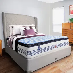 springfit ProActiv Flow Orthopedic 10 inch Pocketed Spring Queen Size Mattress image 1