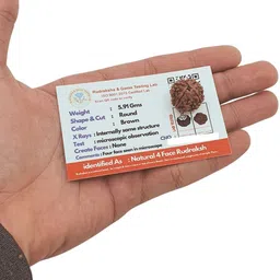 house spiritual enterprise 4 Mukhi Rudraksha Three Faced Nepali Rudraksha Bead Bead Original & Certified Beads Wood Pendant-picture-21