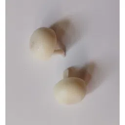 dipsheekha CANDLE HANDMADE WHITE Candle-picture-39