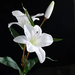 ikko Oriental Lily Stem for Vase, Home & Festival Decor, Living Room Corner Table, White, Green Lily Artificial Flower image 4