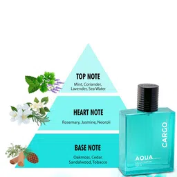 CFS Cargo Aqua EDP 100ml & Cargo Long Lasting Apparel Perfume- 25 ml image 4