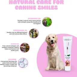 tails on trails Cool Mint Toothpaste and Toothbrush Combo for Pets Pet Toothpaste image 3