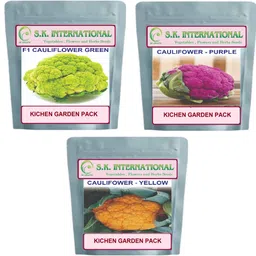 sk organic Cauliflower F1 Hybrid seeds Kitchen Garden -Farm -Green -Yellow- purple Variety Seed-picture-24