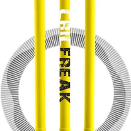 HARD PLASTIC BLACK&WHITE CRICFREAK STUMP SET WITH CLEAR BAG-image-3