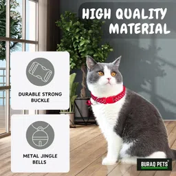 buraq 4 Pcs Imported Cat Collar for Indoor & Outdoor Use Bell Cat Collar Charm image 2