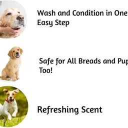 swacch Pet Aqua Odour Remover + Pet Shampoo (Combo Pack of 2) Economical Pack Conditioning Lemon Dog, Cat Shampoo image 4
