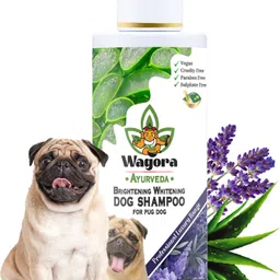 wagora ayurveda Brightening Whitening Pug Dog Shampoo Whitening and Color Enhancing, Conditioning Aloe Vera, Rosemary & Lavender, Natural Fragrance Dog Shampoo-picture-24