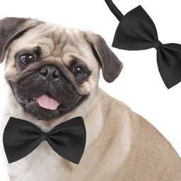 pet guard Black Neck Bow Tie Cum Necktie for Dog/Puppy/Cat/Kitten Plain Dog Collar Charm image 1