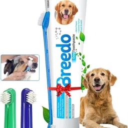 breedo Cool Mint Toothpaste and 3Pcs Pet Toothbrush Combo for Dogs - 100g | Pet Toothbrush-picture-14