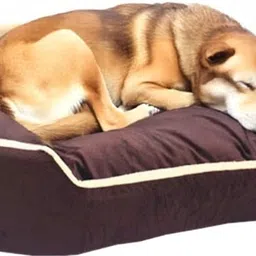 snupi smile Dog Bed, Sofas Bed & Chairs Bed XXXL Pet Bed-picture-27