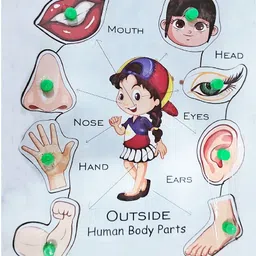 muren Kids Preschool Nursery Educational Wooden Puzzles Board Dart Game Toy-Body Parts-picture-11