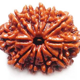 divine souvenirs 11 MUKHI RUDRAKSHA ( ELEVEN FACE) 100% ORIGINAL WITH CERTIFICATION Wood Pendant-picture-11