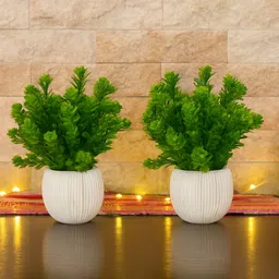 pyarizone Bonsai Artificial Plant with Pot image 3