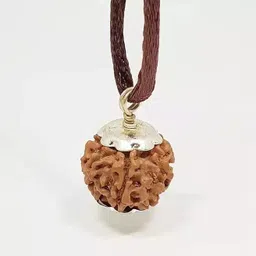 happy creation Satmukhi 7 Mukhi Rudraksha Original Original 7 Face Saat Mukhee Rudraksha Wood Pendant-picture-19