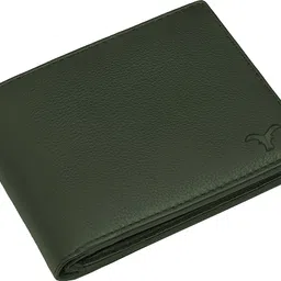 skinbull Men Casual, Formal Green Genuine Leather RFID Wallet-picture-30