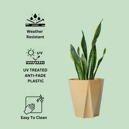 mrida and maati 10 Inch pot (BEIGE,3 Pcs) Flower Pot for Home, Indoor & Outdoor Gamla, Gardening Plant Container Set image 4