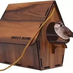 zooglu For Sparrow, Kingfisher And Humming Bird Bird House-picture-31