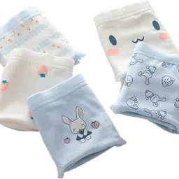 zenvio Women Hipster Multicolor Panty image 1