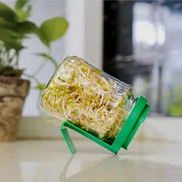 sprout-me Glass Sprout Maker - 720 ml image 3