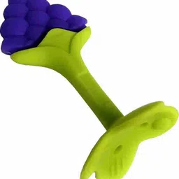 reyansh kifayati store Fruit Shape Silicone Teethers Soft Stick Chews Nibbler for Baby Dental Care Teether image 2