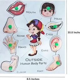 muren Kids Preschool Nursery Educational Wooden Puzzles Board Dart Game Toy-Body Parts image 2