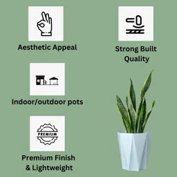 mrida and maati 10 Inch pot (WHITE,5 Pcs) Flower Pot for Home, Indoor & Outdoor Gamla, Gardening Plant Container Set image 4