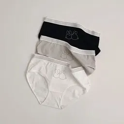 saffiraa Pack of 3 Women Bikini Multicolor Panty image 4