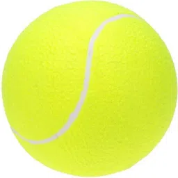 gg gonex Green Tennis Ball Tennis Ball-picture-12