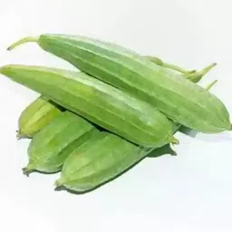 mamoni traders Ridge Gourd Seeds, Organic Seeds For Gardening, toree, Chinese okra Hybird Seed image 1