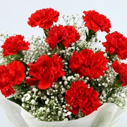 Pop Of Love Carnations Bouquet Greeting Card image 3