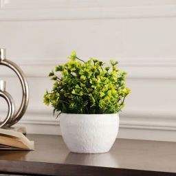 Multicolour Polyester and Plastic Artificial Plants By Foliyaj-picture-17