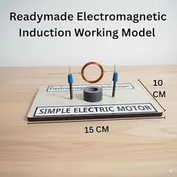 erhindia DIY Physics Experiment Science Project Kit Simple Electric Motor Electromagnetic image 2