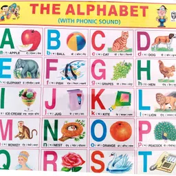 beboo sales and services Combo Pack: ABC Alphabet Learning Chart + Human Body Parts Chart for Kids (Durable & Laminated) Photographic Paper image 3