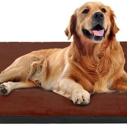 petslover Pad Dog Mat Mattress Pet Beds Foam Cushion L Pet Bed-picture-13