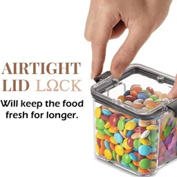 ria zion Plastic Grocery Container - 700 ml-picture-18