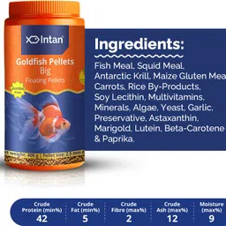 intan Goldfish Big Floating Pellets fish food for Fish | Jumbo Pack pellet 2.5 mm Dia Sea Food 0.4 kg Dry Adult Fish Food image 3