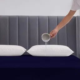 rp master Cotton King Fitted (Elastic) 200 TC Solid Bedsheet-picture-10