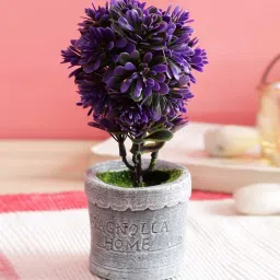 casacraft from pepperfry Polyester Purple Bonsai With Grey Resin Pot Artificial Plants image 1